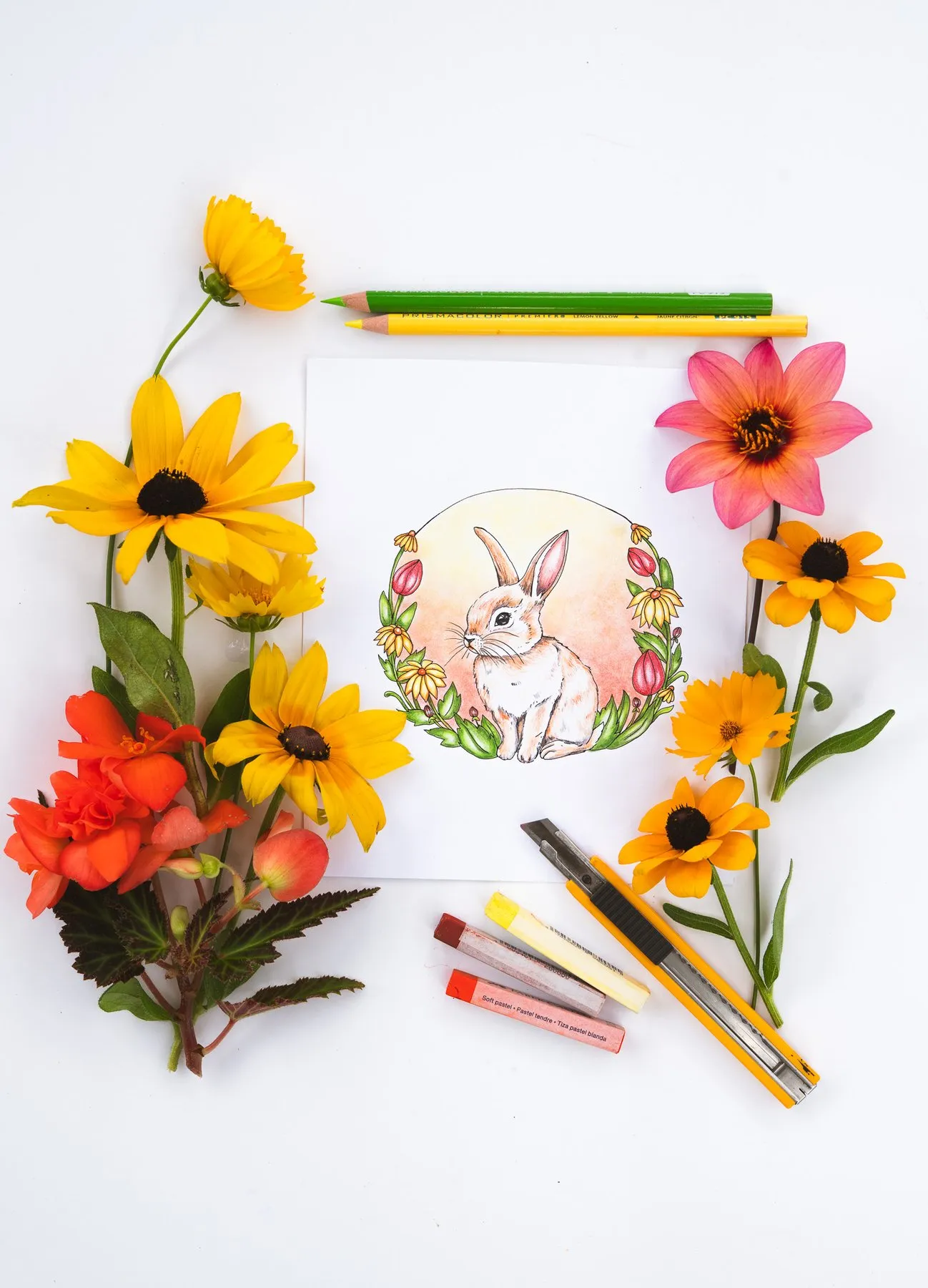 Rachel's colored bunny illustration framed by black-eyed Susans, dahlias and pencils