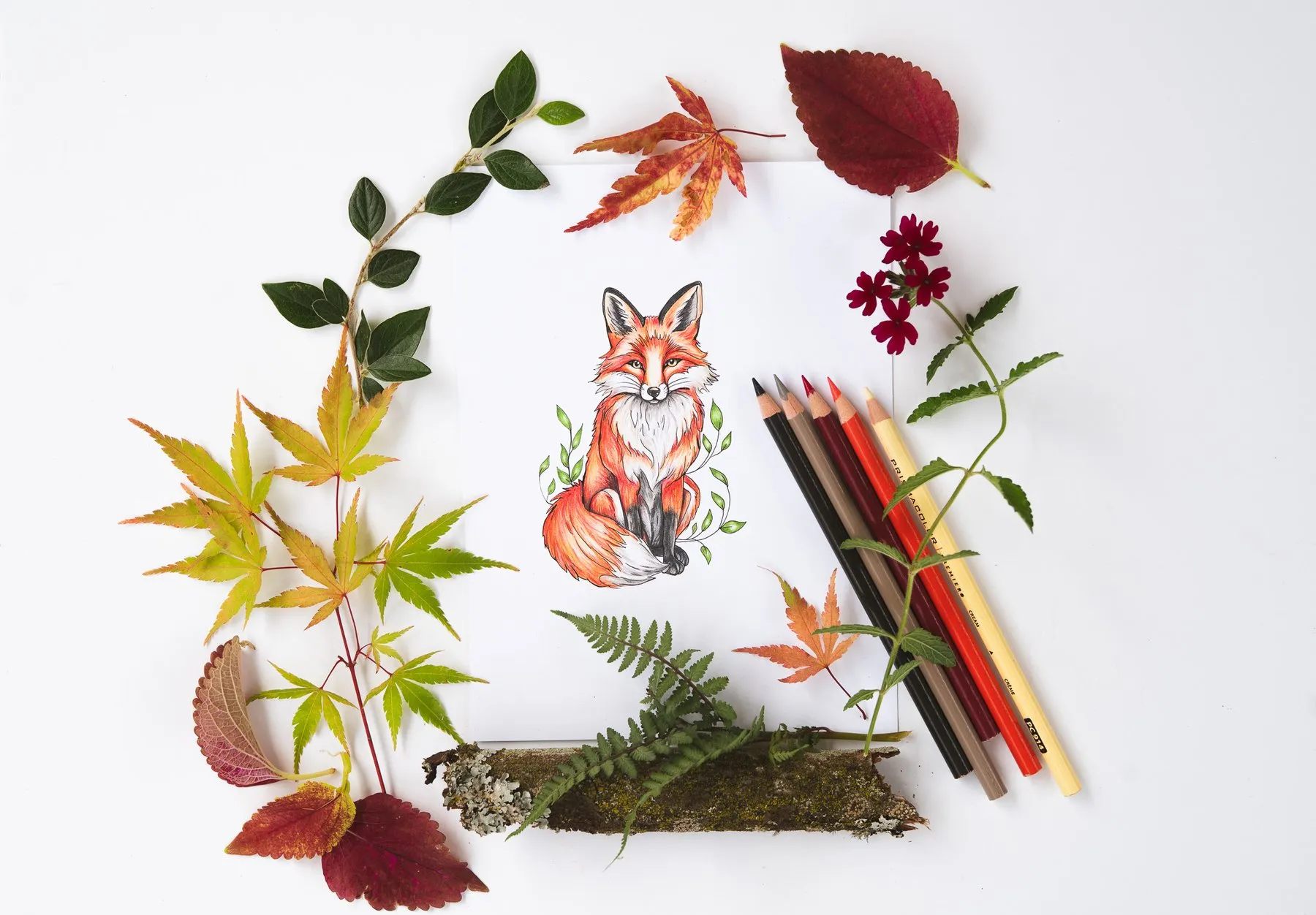 Rachel's colored fox illustration in a wreath of autumn leaves and pencils